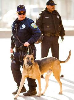 San Francisco police on the streets (Thomas Hawk)