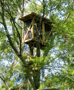 One of the treehouses used by the anti-tar sands protesters