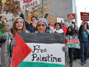 Chicagoans march in solidarity with Gaza during Israel's onslaught