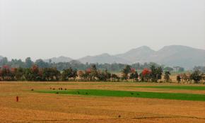 The countryside in Orissa