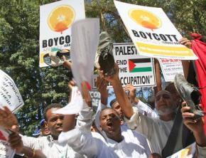 Unionists in South Africa's COSATU rally in support of the international call for a boycott against Israel