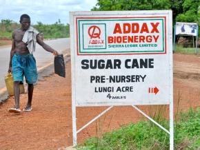 A Swiss-based energy company raised sugar cane for biofuel in Sierra Leone