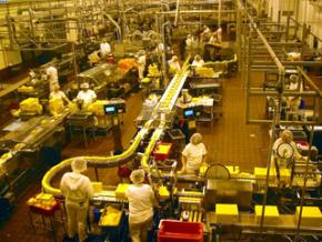 Workers at a cheese factory in Oregon
