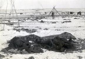 Bodies piled in the snow following the massacre at Wounded Knee