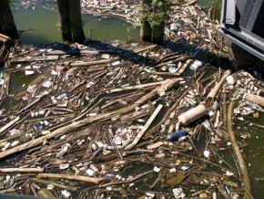 Trash collects in the Anacostia River