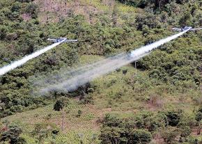 Military airplanes spray toxic chemicals on coca crops in the Colombian countryside