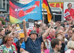 Marching with the far-right Alternative for Germany